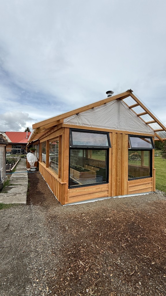 Greenhouse exterior framed with rough cut lumber and board-and-batten siding